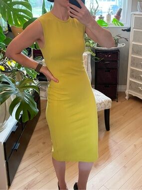 Babaton Sz 6 Sleeveless Bodycon Dress in Lime Green